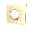 Begin Home Decor 16 x 16 in. Sand-Dollar-Print on Canvas 2080-1616-CO140